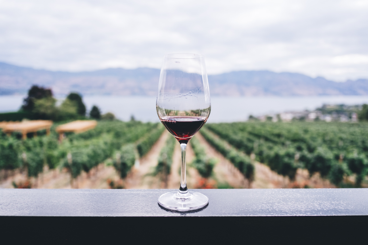 Bicchiere di vino con lo sfondo di un vigneto